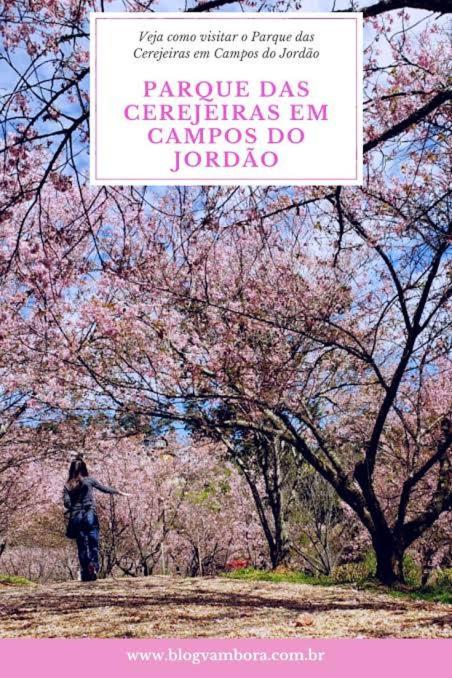 Apartamento Apartamento C/lareira Prox Ao Parque Da Cerejeira *